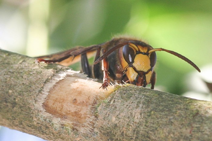 mein Lieblingsbild aus der Serie