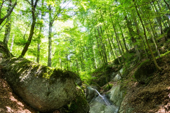 Aigner Park, Salzburg
