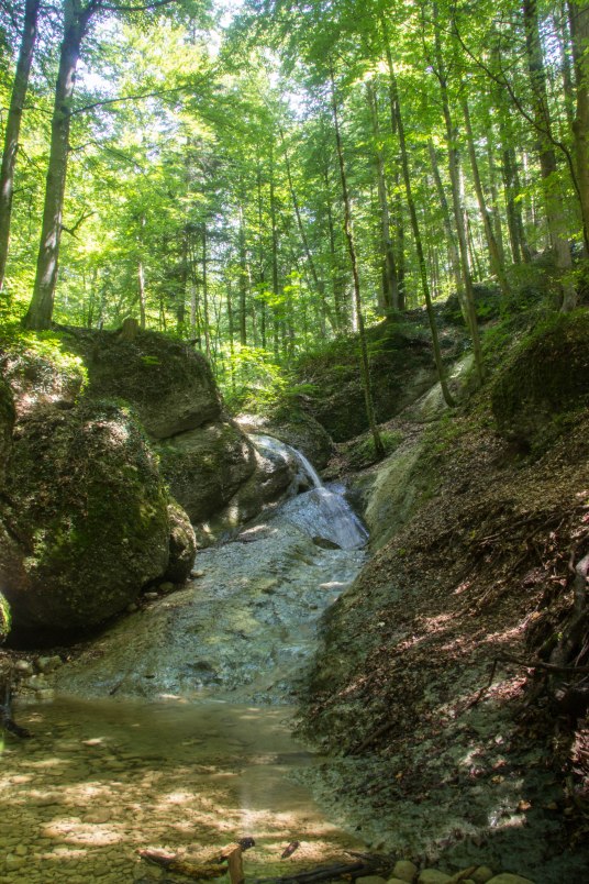 Aigner Park, Salzburg